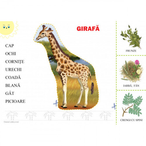 Animale din ținuturile calde și reci (cu foi detașabile)