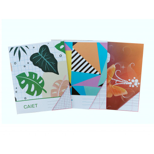 Caiet 24 foi linie mica oblica (brosat)