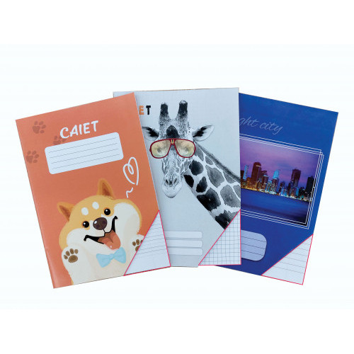 Caiet euro 24 foi linie punctata (brosat)