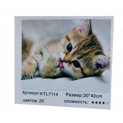 Pictura pe numere 30x40 KTL7114