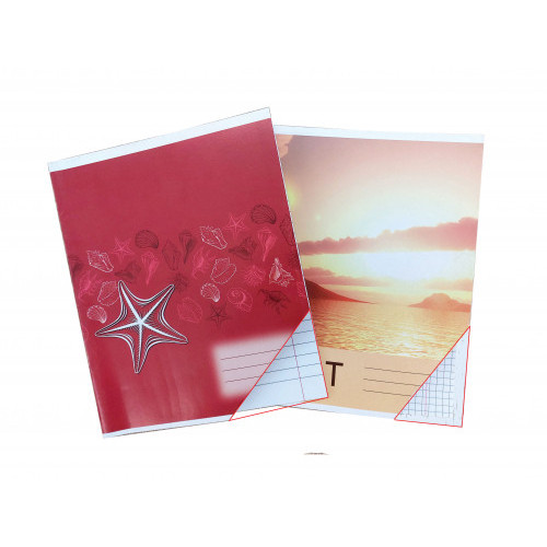 Caiet 36 foi patratele (carton)