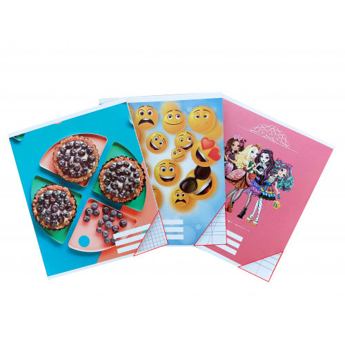 Caiet 12 foi patratele (carton)