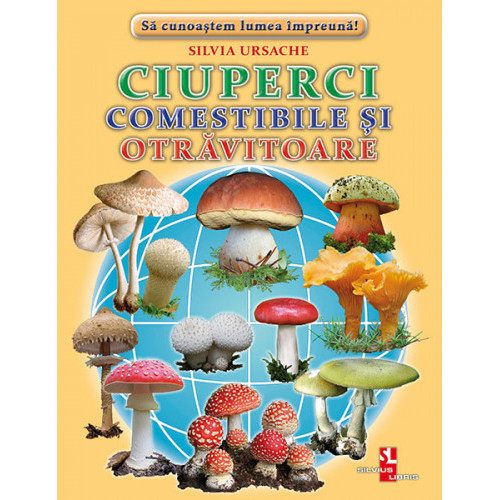 Fișe "Ciuperci comestibile și otrăvitoare"