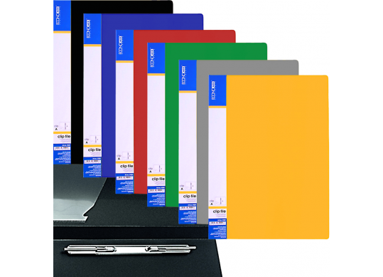 Mapa plastic Clip A Economix (mix) E31201