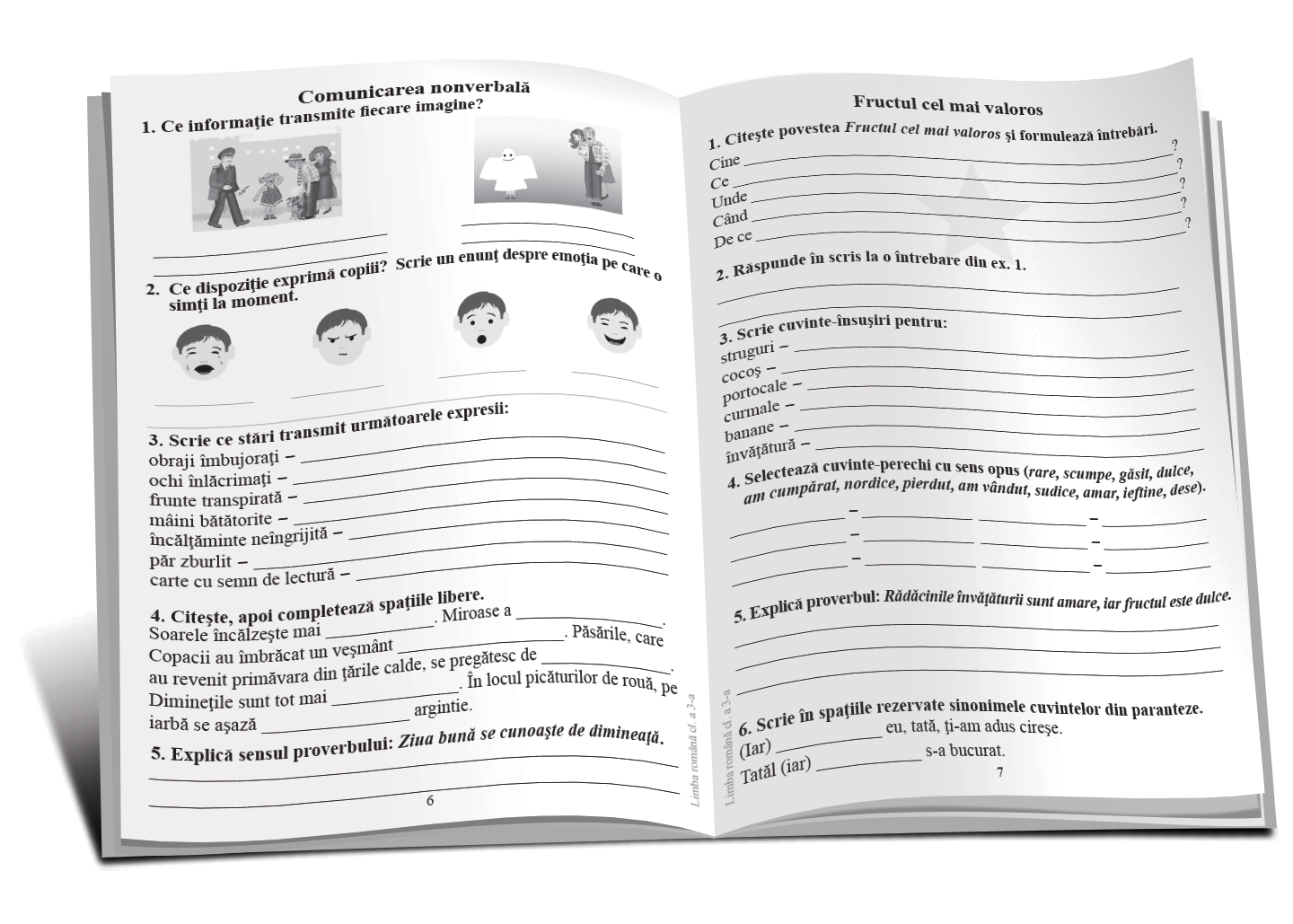 TEMA la Limba română cl.3