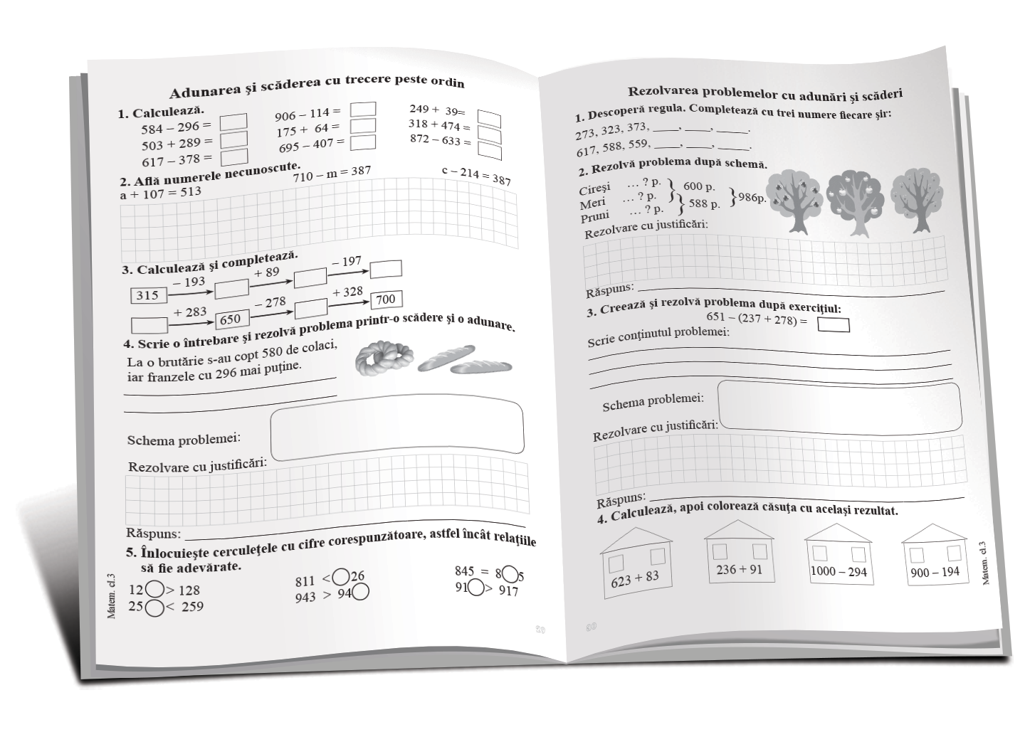 TEMA la Matematică cl.3