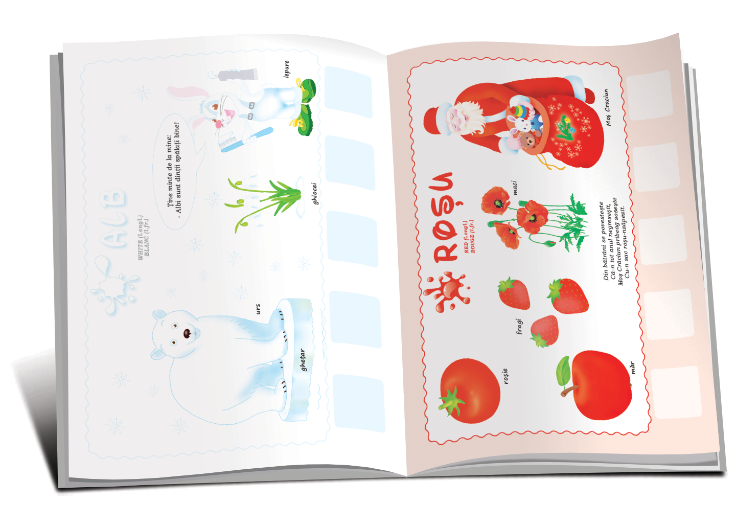 Culori + Autocolante