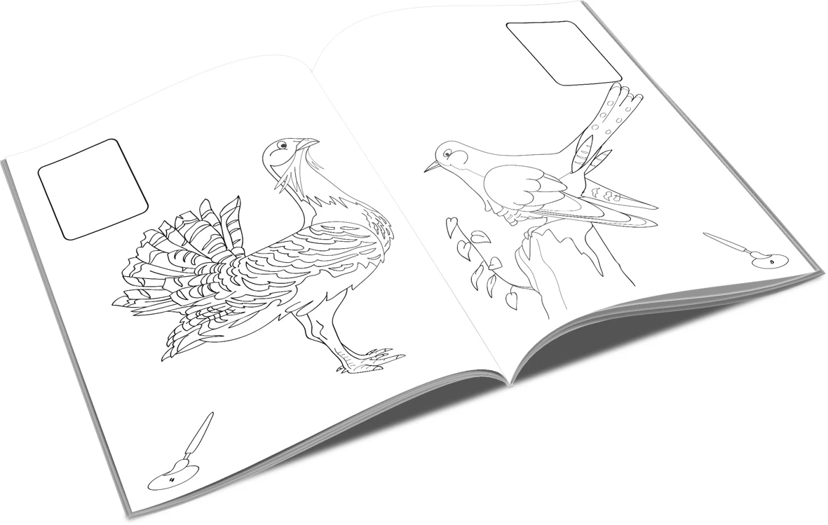 Lipim și colorăm - Păsări