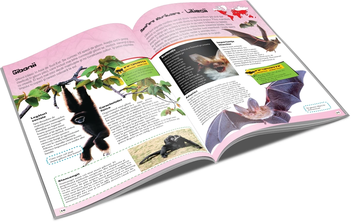 Mamifere - Lumea animalelor