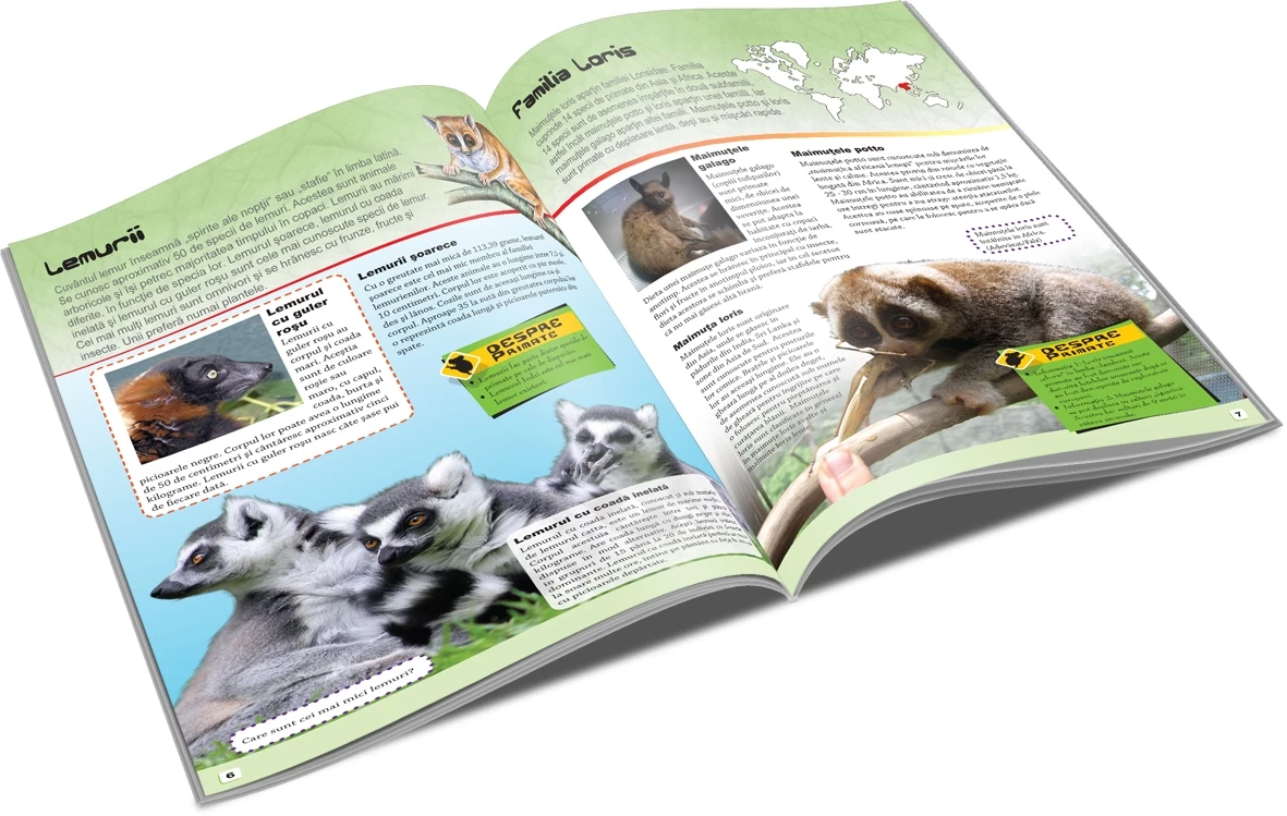 Primate - Lumea animalelor