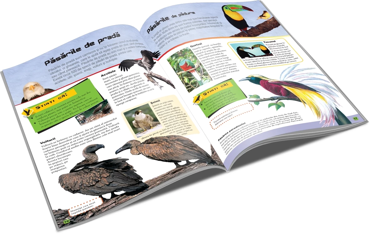 Păsări - Lumea animalelor