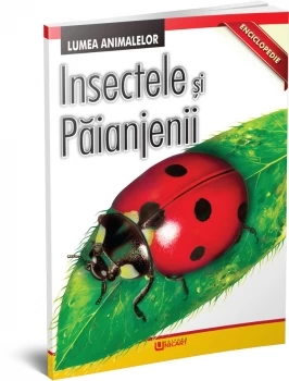 Insecte și păianjeni - Lumea animalelor