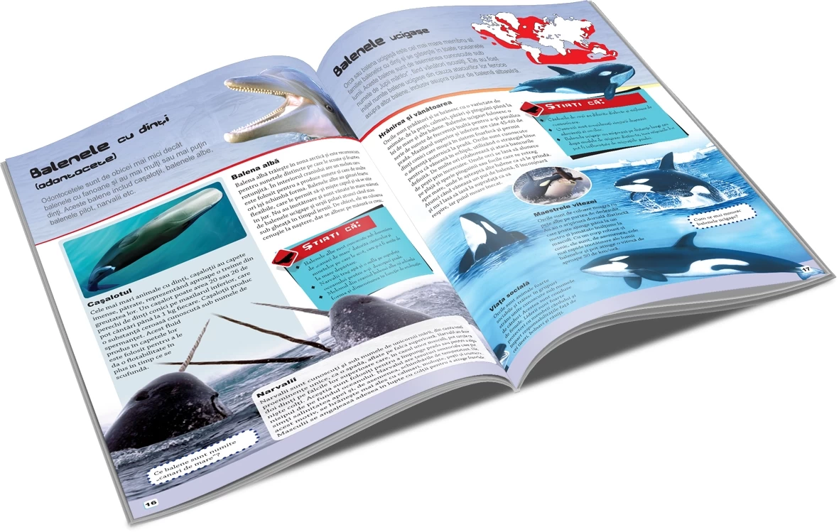 Balene și delfini - Lumea animalelor