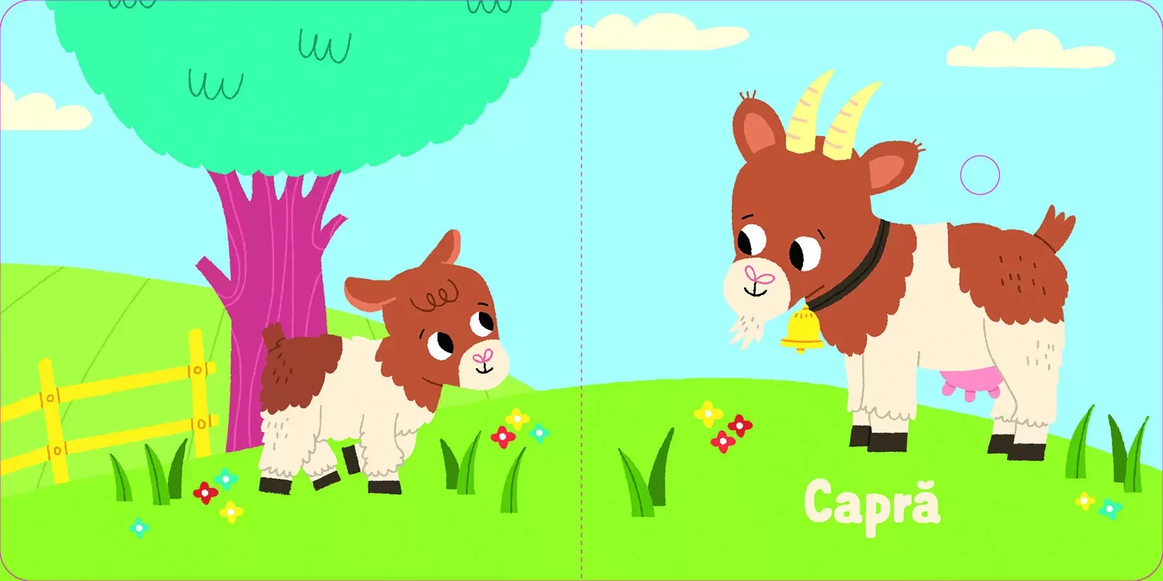 La țară. Carte sonoră + Caută & Găsește