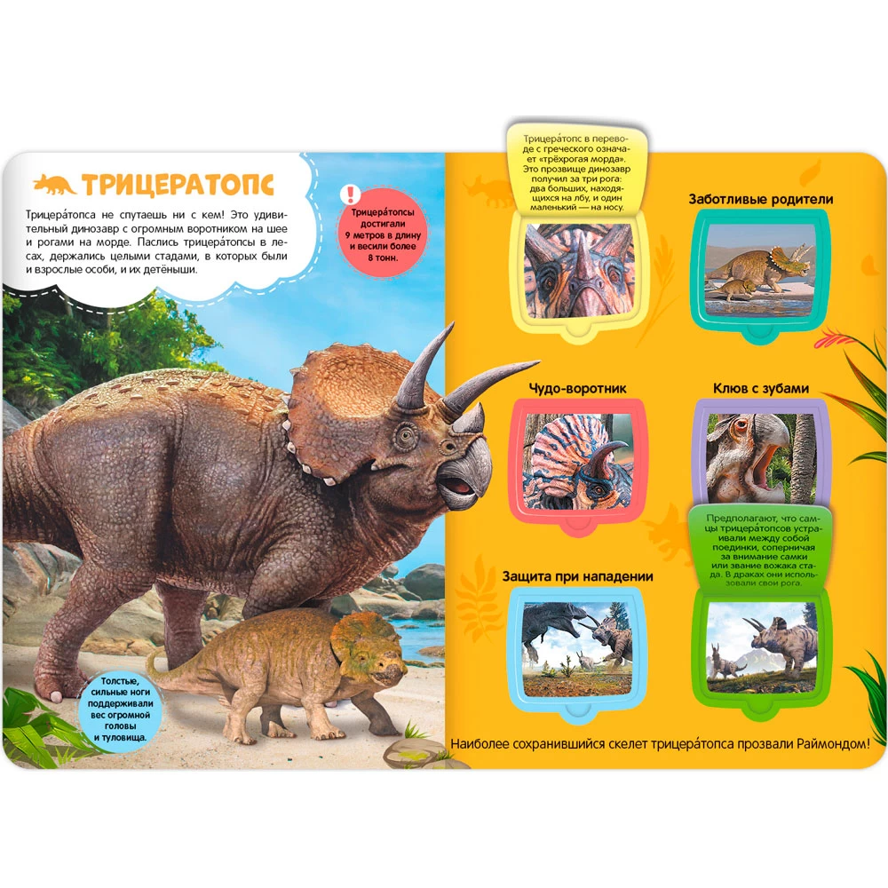 Первые знания малыша(с окошками).Динозавры