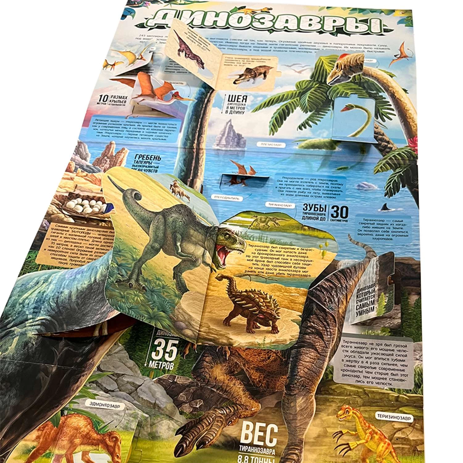 Плакат с окошками. Динозавры