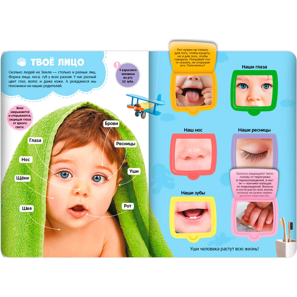 Первые знания малыша(с окошками). Моё тело