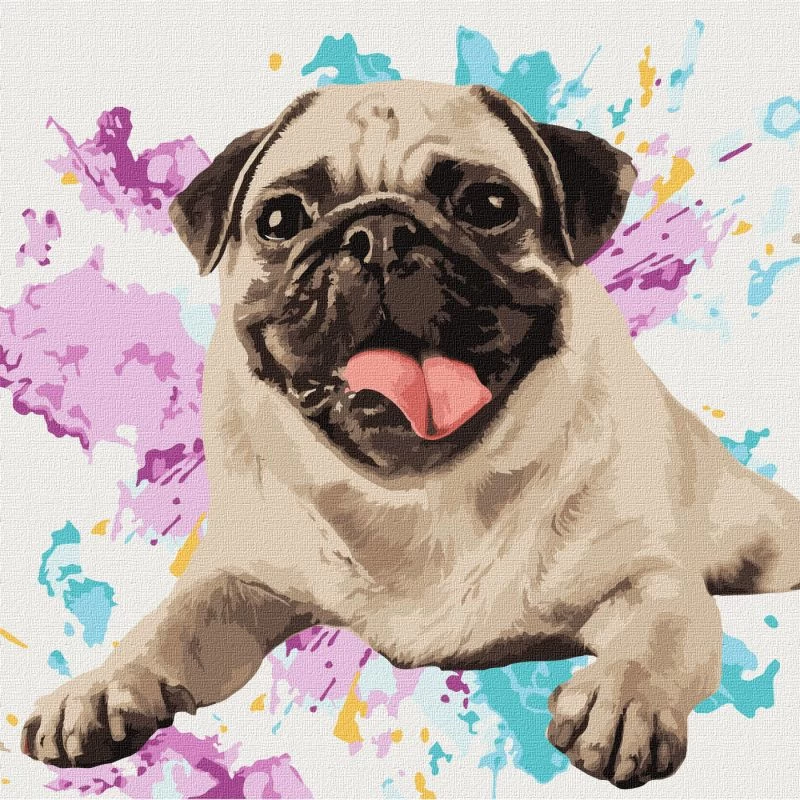 Tablou pe numere "Pug preferat" 40x40cm KHO4316
