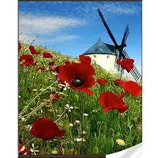 Mozaica cu Diamante 30x40 cm "Moara"