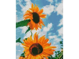 Mozaica cu Diamante 30x40 cm "Floarea soarelui"