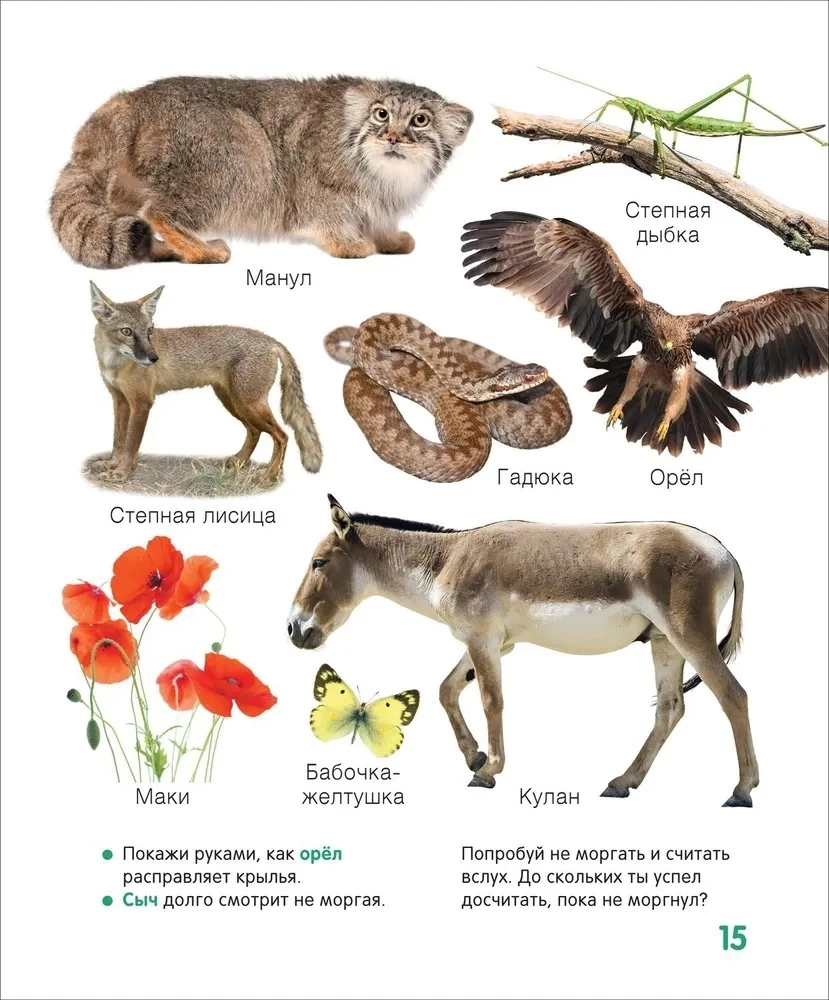 Животные. Твоя первая фотокнига