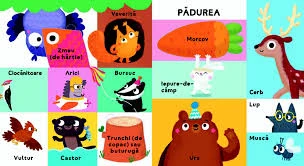 Primele mele 100 de cuvinte. Animalele