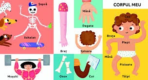 Primele mele 100 de cuvinte. Corpul meu