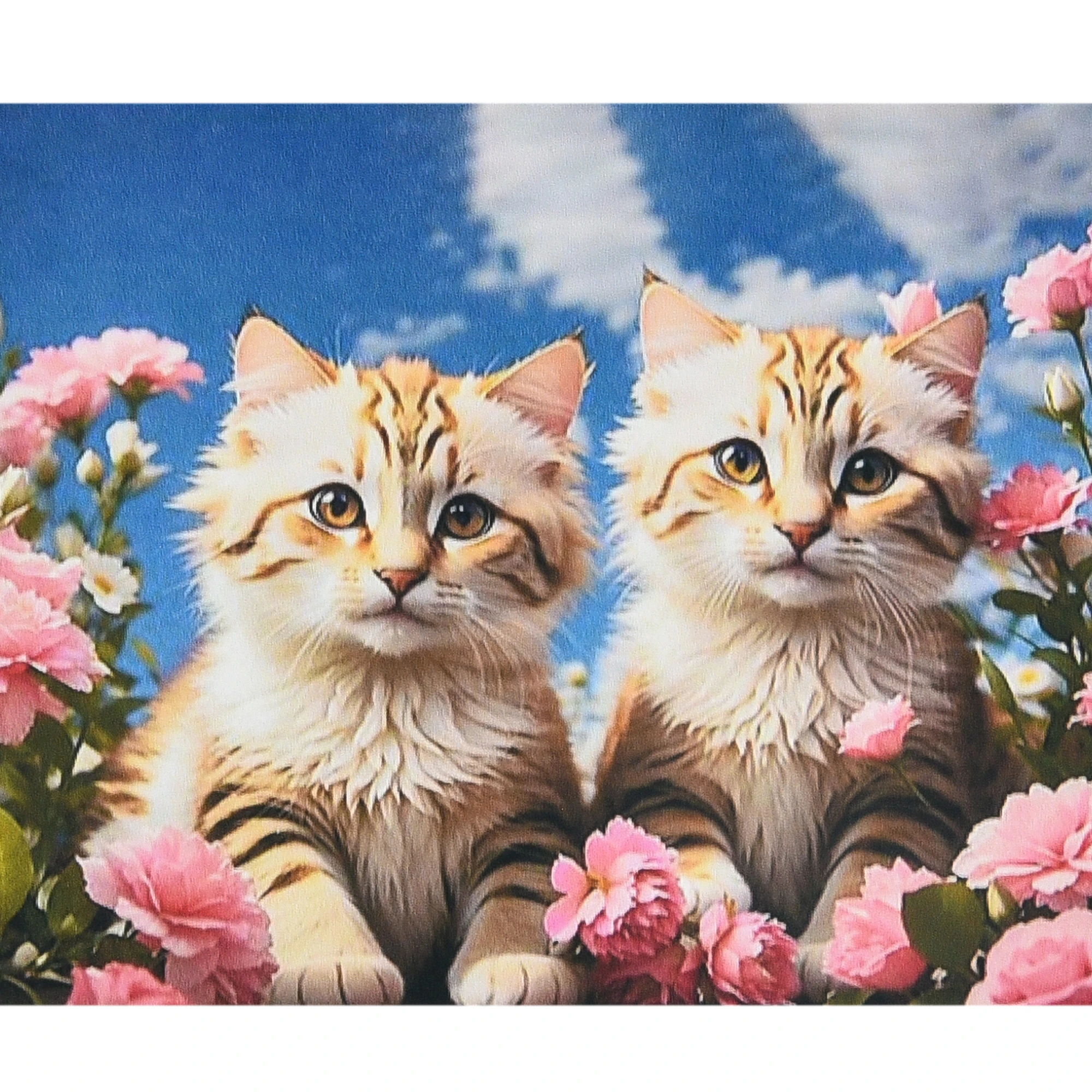 Mozaica cu Diamante 40x50 cm "Pisicuțele blănoase"