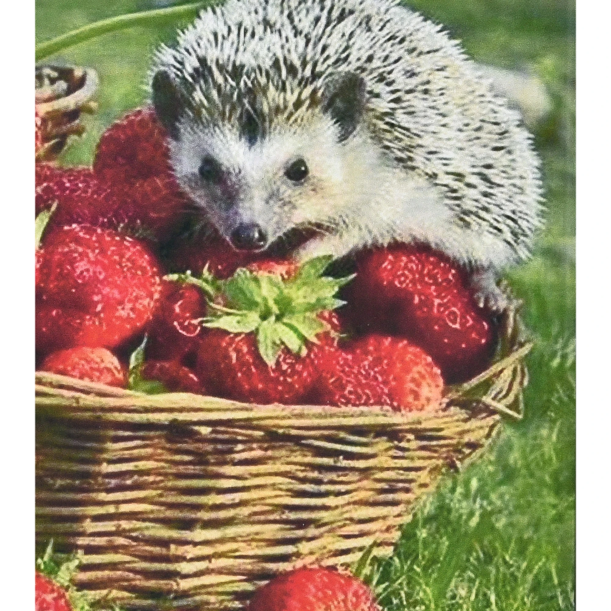 Mozaica cu Diamante 30x40 cm "Ariciul și căpșunile"