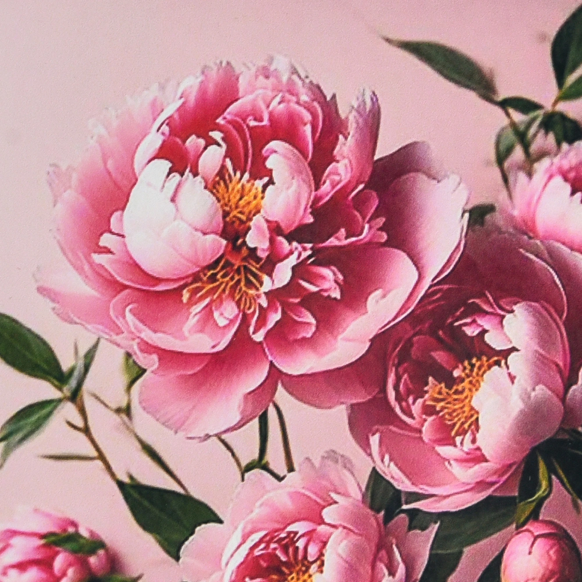 Mozaica cu Diamante 30x30 cm "Bujori pe fundal roz"