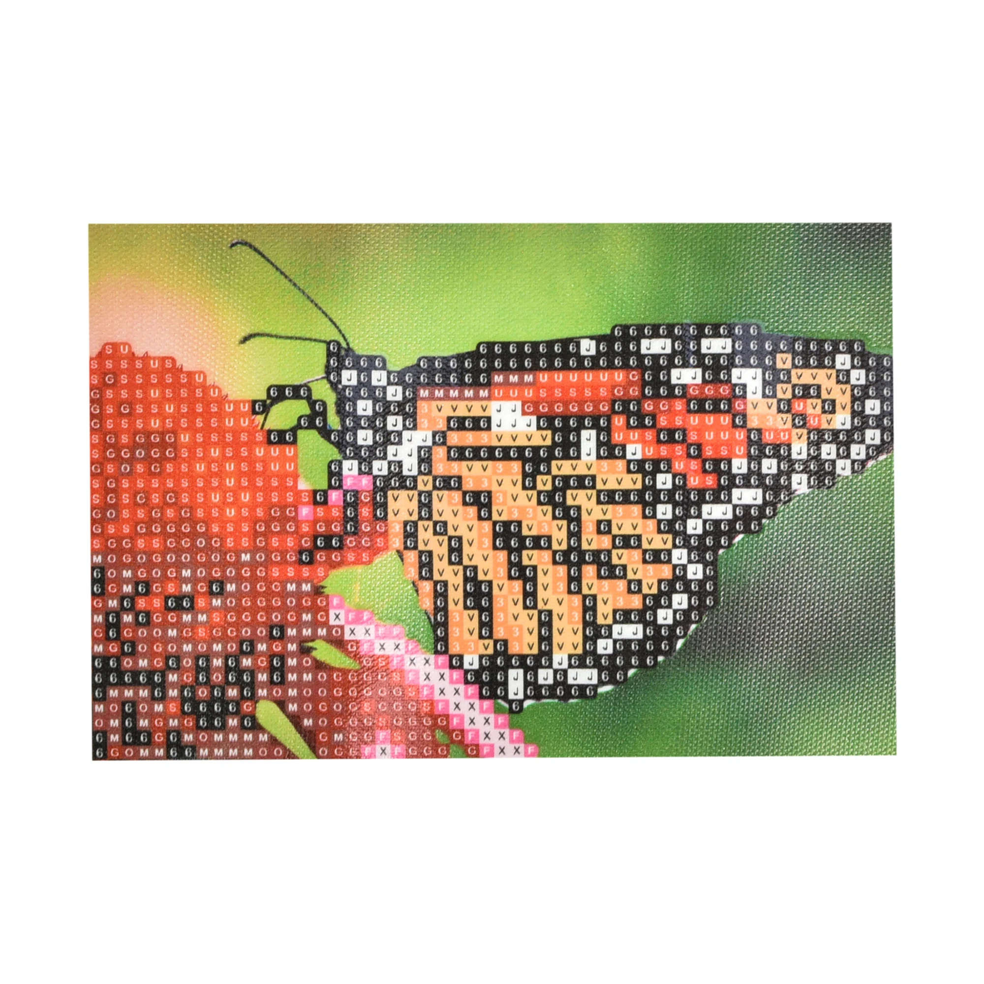 Mozaica cu Diamante 10x15 cm "Ușurința zborului"