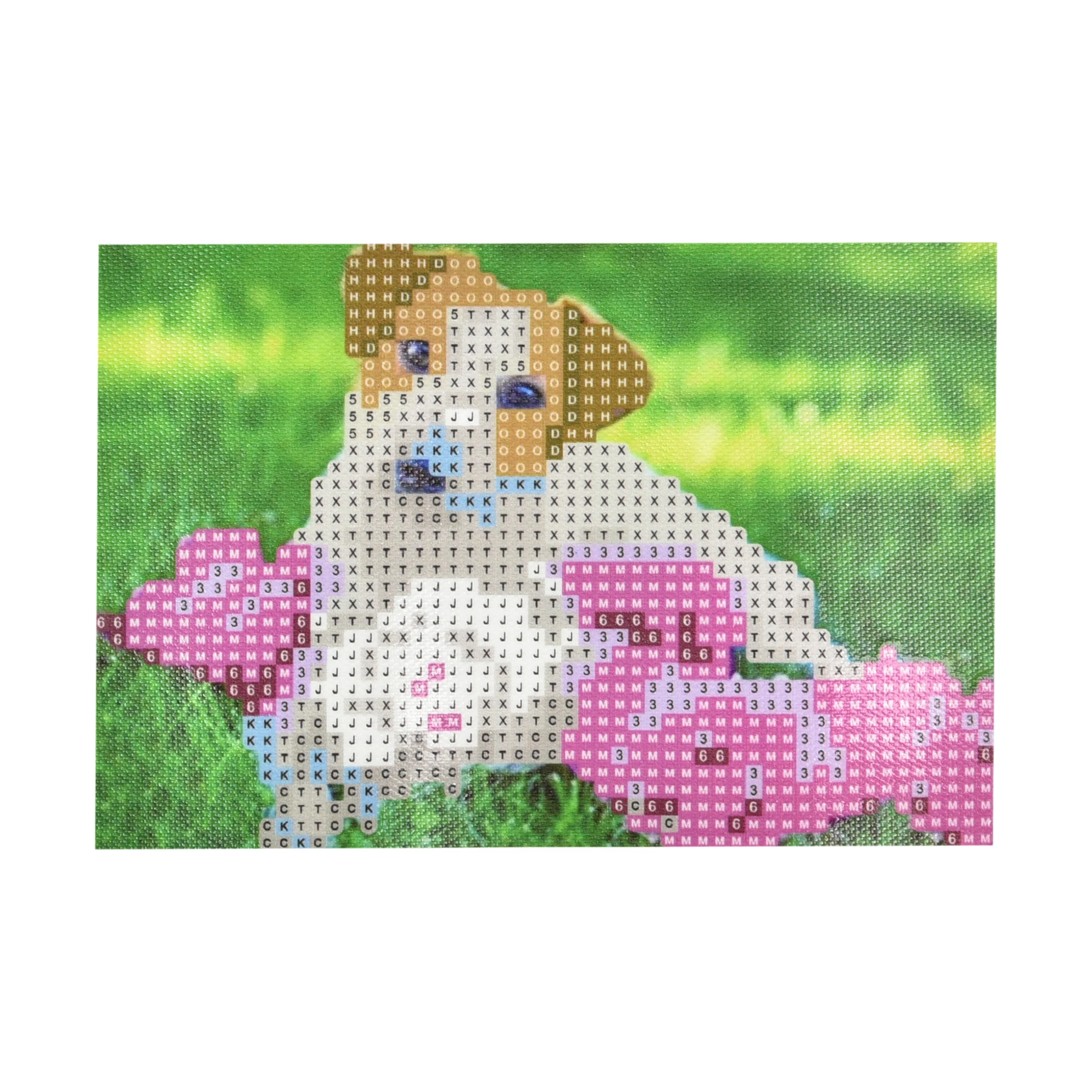 Mozaica cu Diamante 10x15 cm "Bujori și prietenul loial"