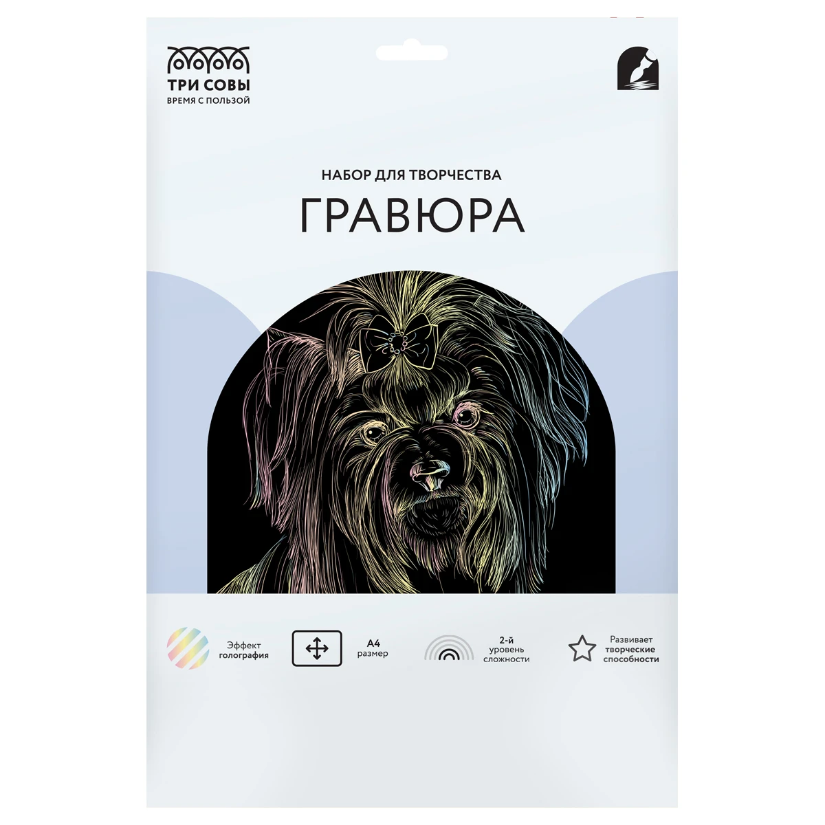 Gravura cu efect holografic "York", A4, ТРИ СОВЫ