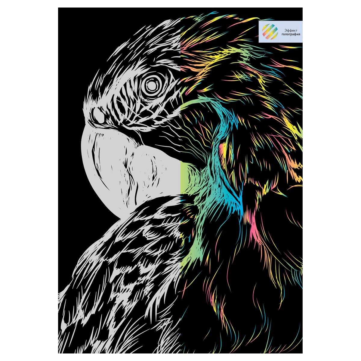 Gravura cu efect holografic "Papagal",A4, ТРИ СОВЫ