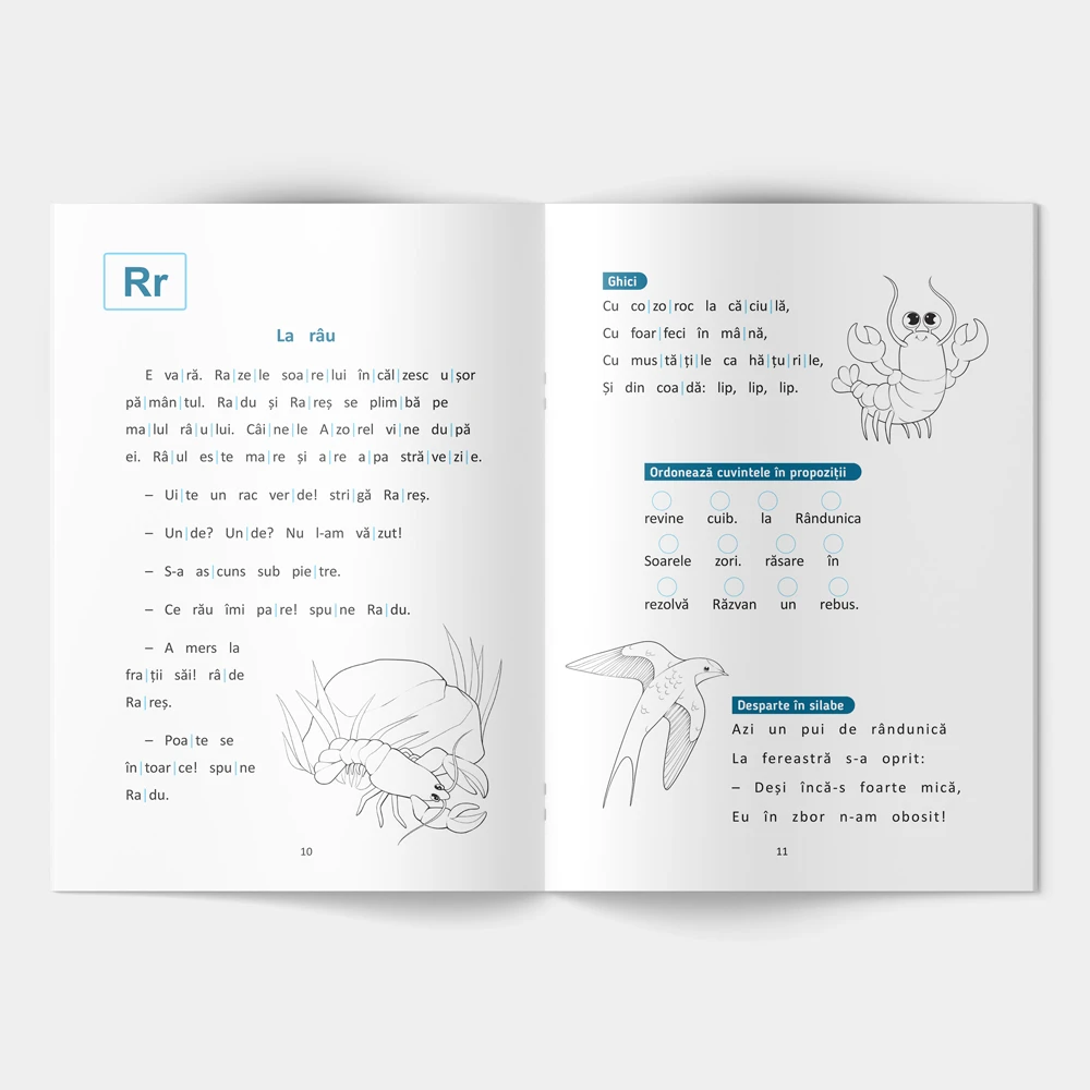 Jurnal de lectură pentru începători