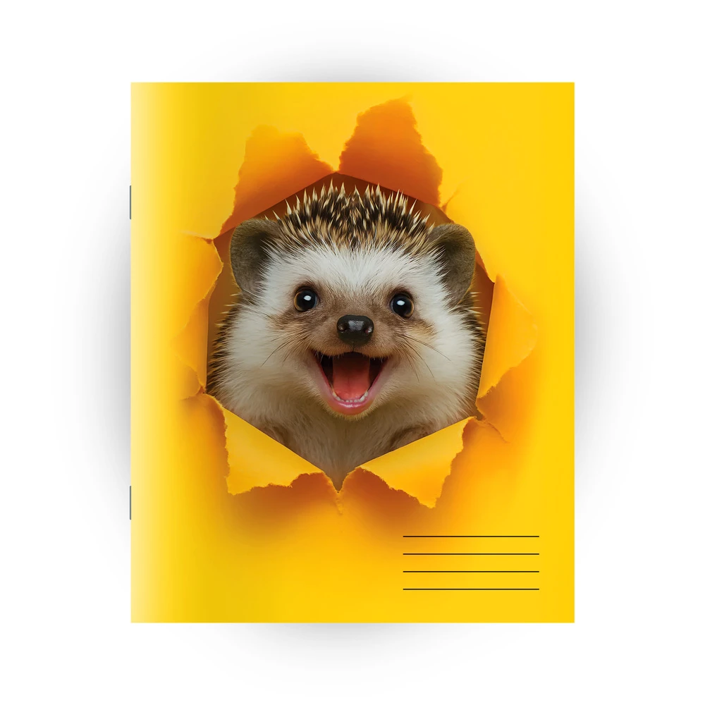 Caiet  48 foi patratele (Dorinta)