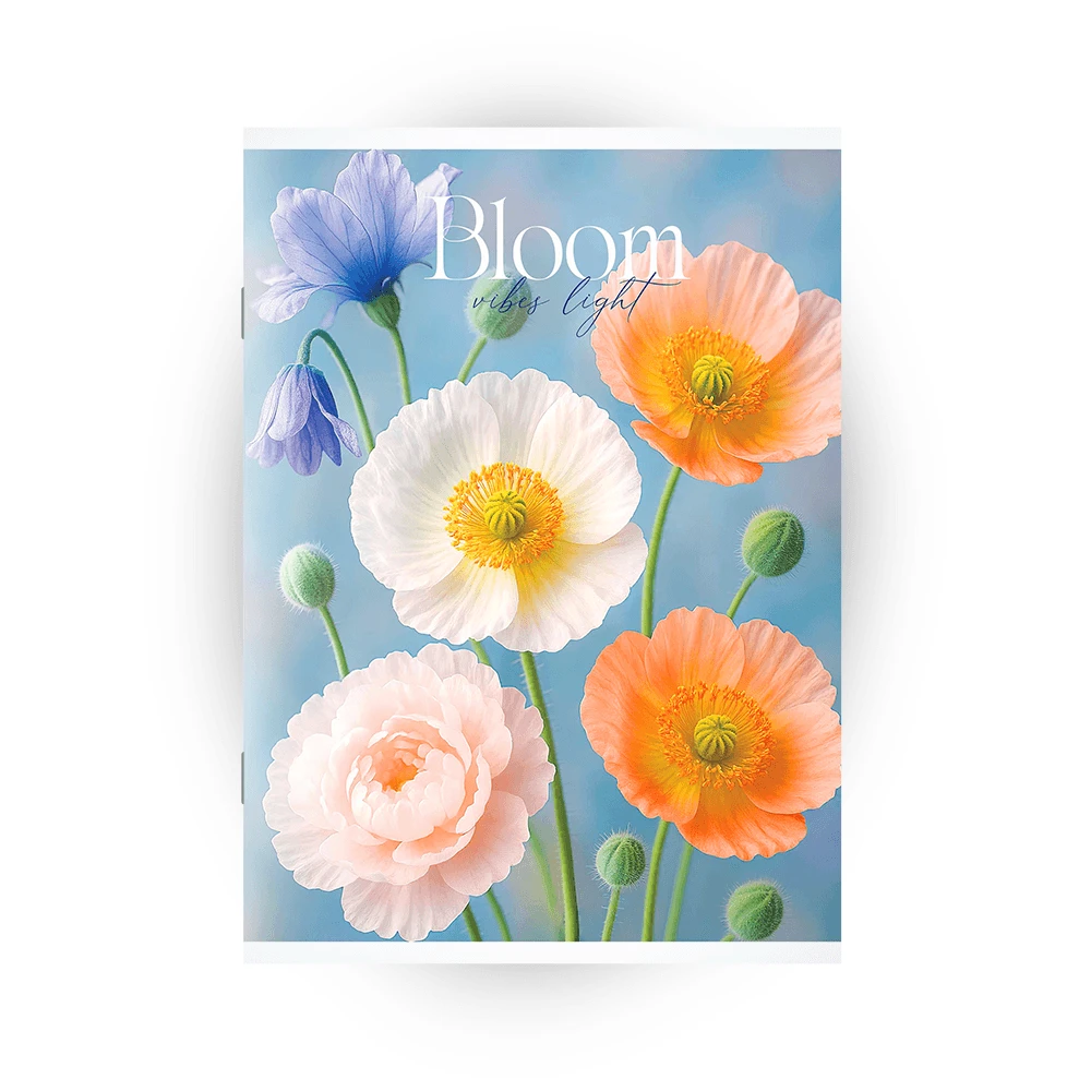 Caiet 48 foi Euro patratele (Dorinta)