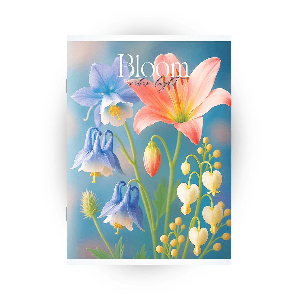 Caiet 48 foi Euro linie mare (Dorinta)