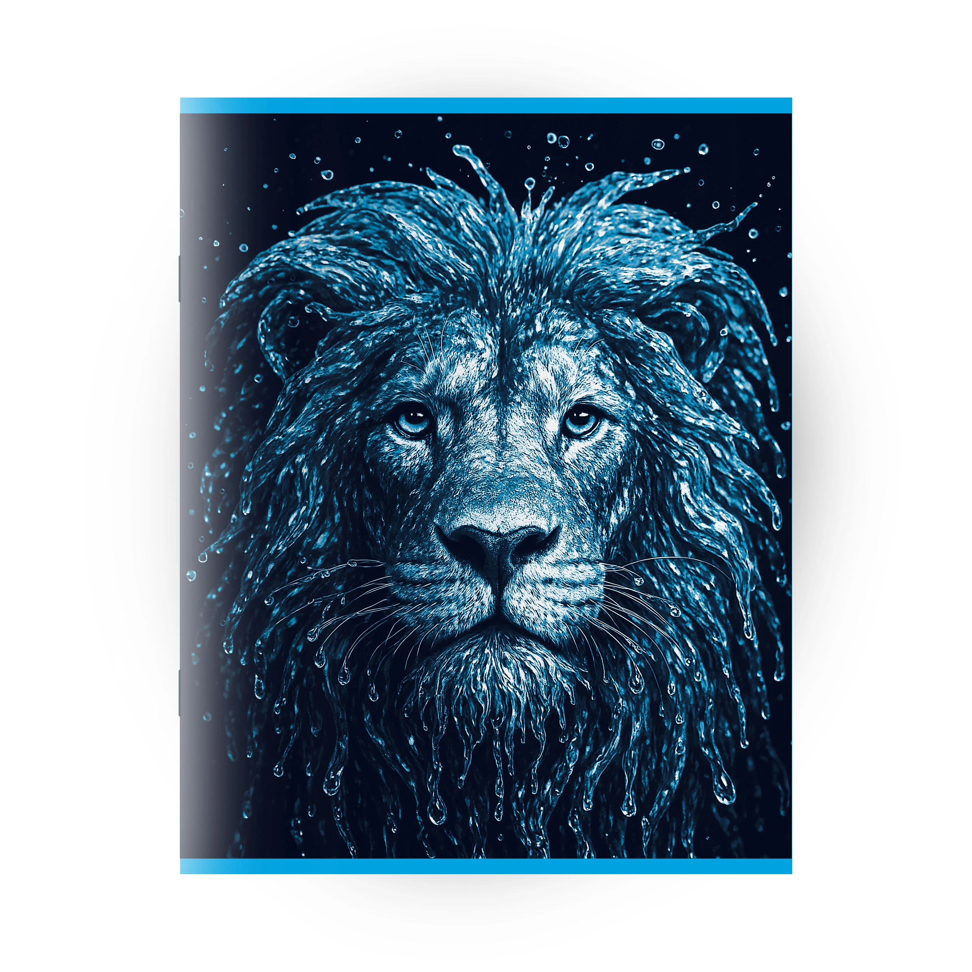 Caiet 96 foi patratele (Dorinta)