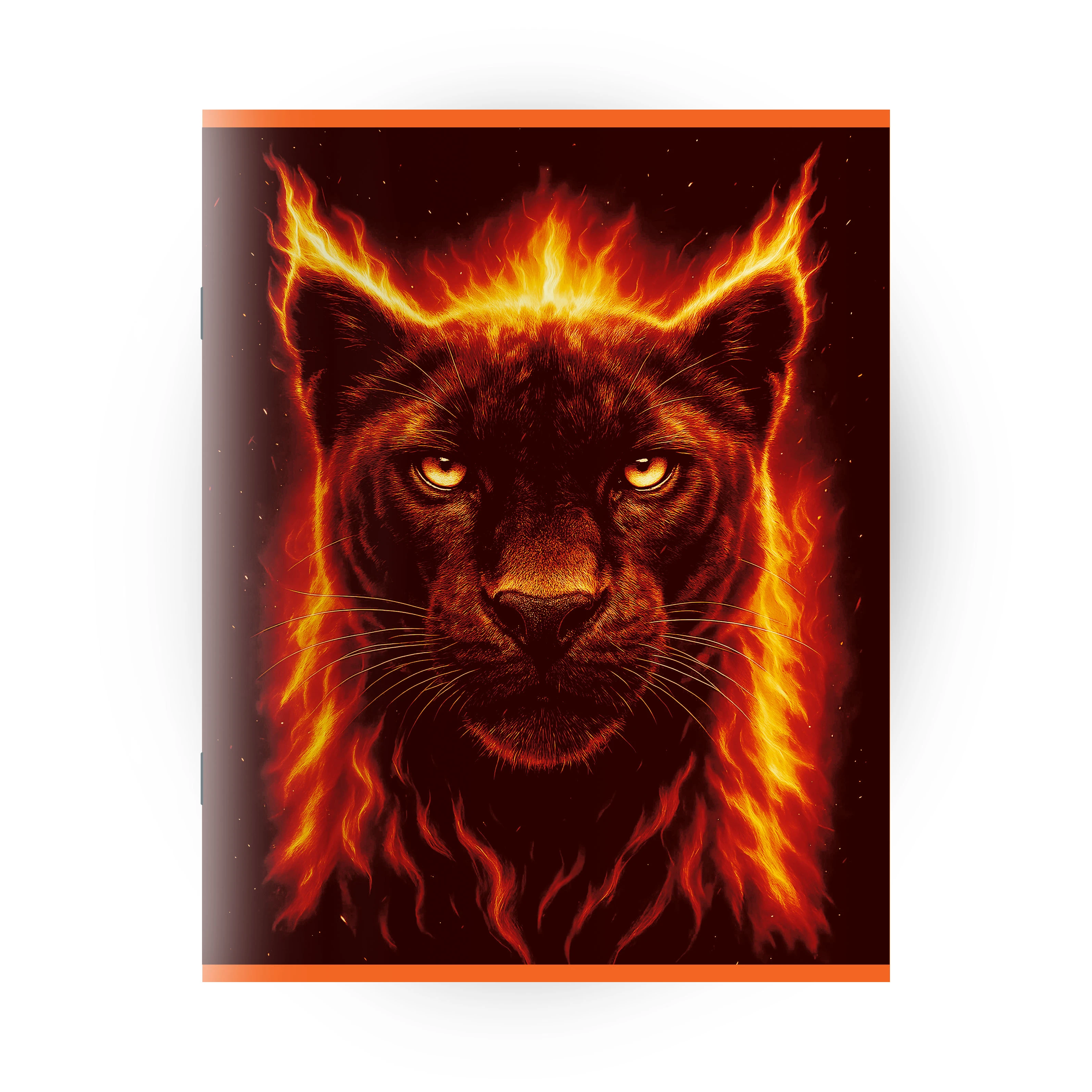 Caiet 60 foi patratele (Dorinta)