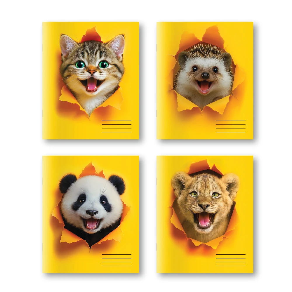 Caiet  48 foi patratele (Dorinta)