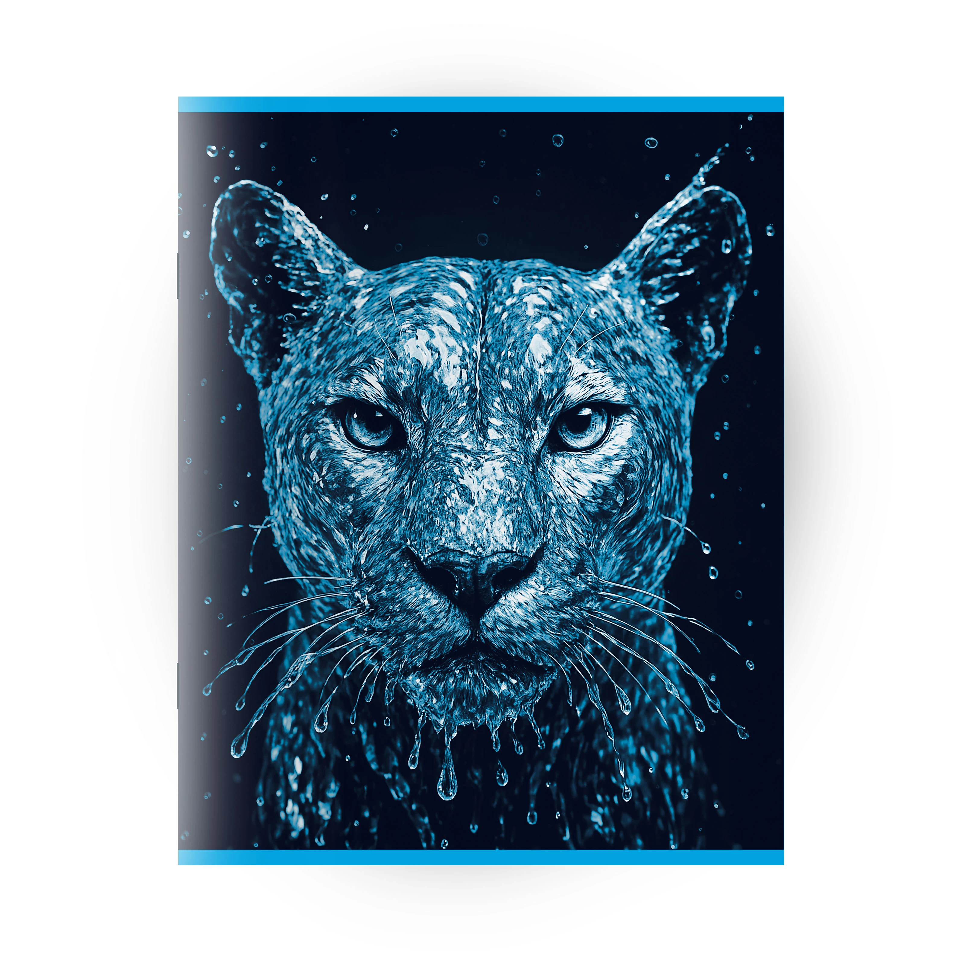 Caiet 96 foi patratele (Dorinta)