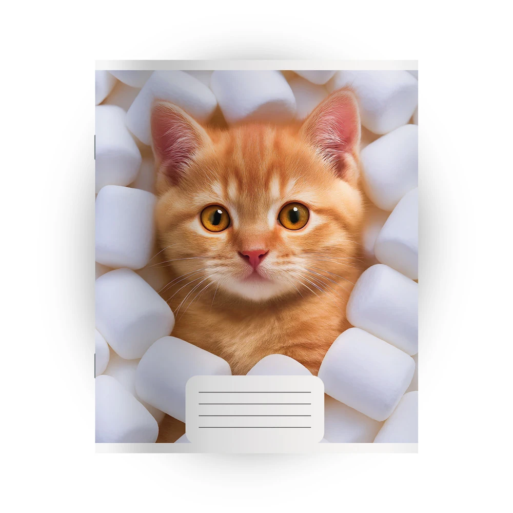 Caiet 48 foi linie mare (Dorinta)