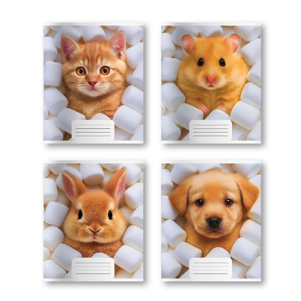 Caiet 48 foi linie mare (Dorinta)