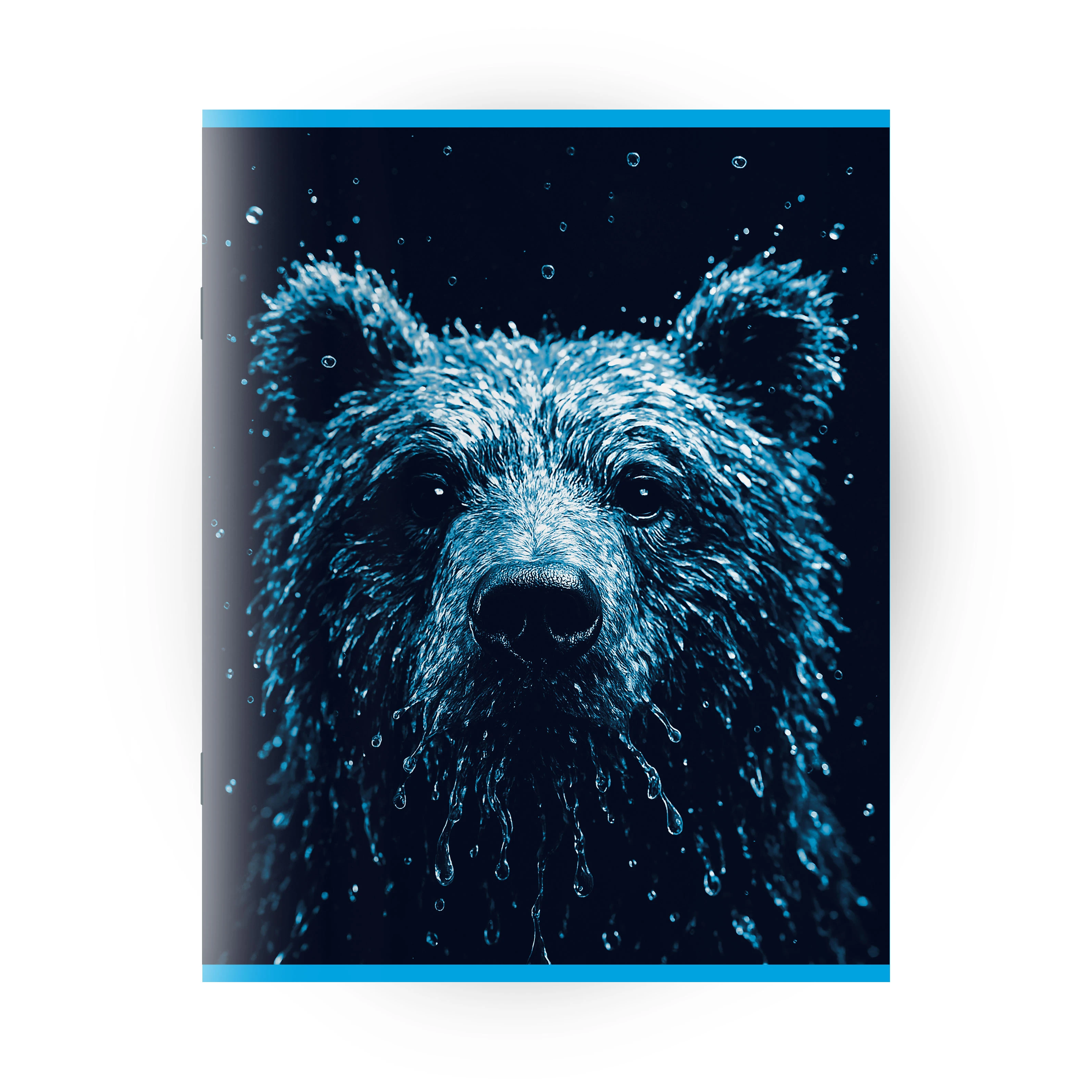 Caiet 96 foi linie mare (Dorinta)