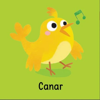 Animale de companie. Mica mea carte zornăitoare și de dentiție