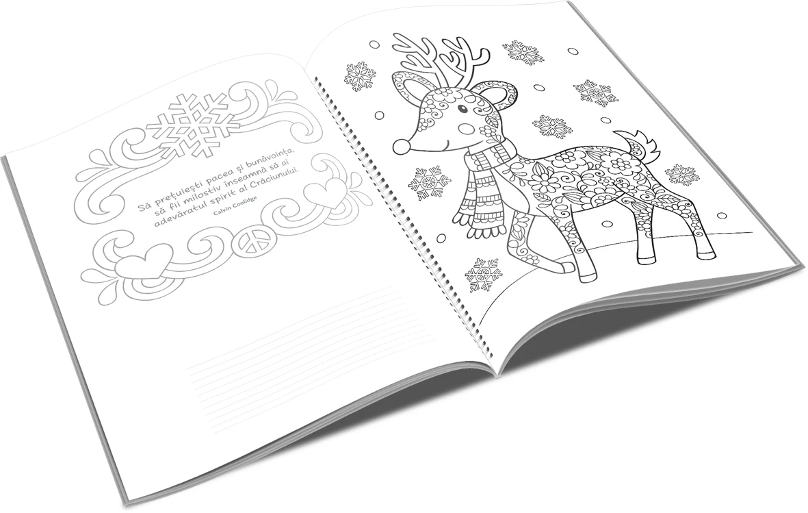 Carte de colorat si activitati - Craciun