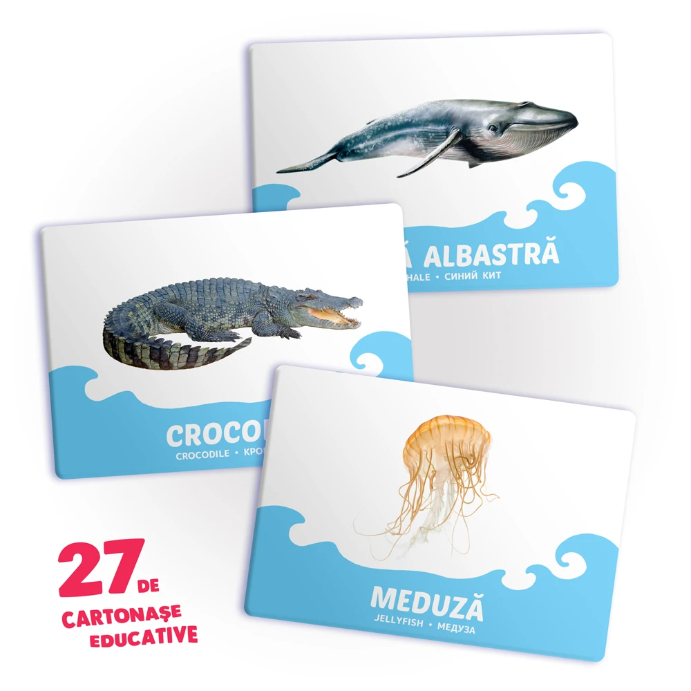 27 de cartonase. Animale de apa