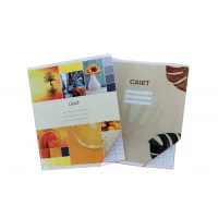 Caiet 48 foi linii mari (carton)