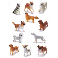 Câine de Rasă (1buc)